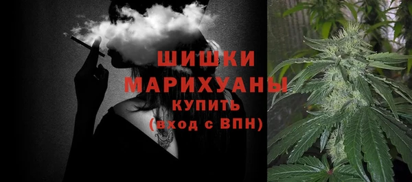 Альфа ПВП Аркадак