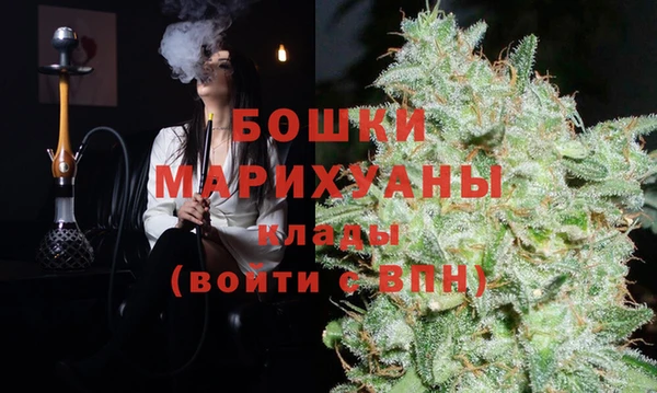Альфа ПВП Аркадак