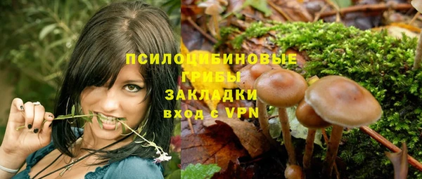 прущий лед Армянск