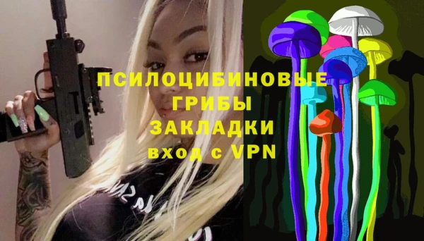 прущий лед Армянск